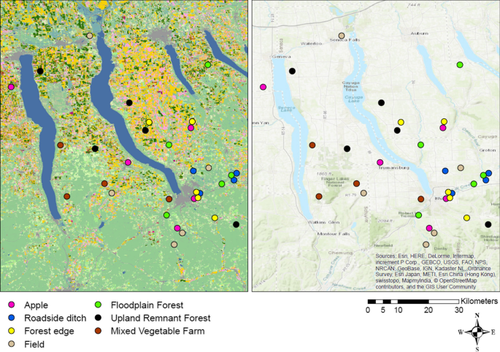 Seasonal bee communities vary in their responses to resources at local and landscape scales: implication for land managers