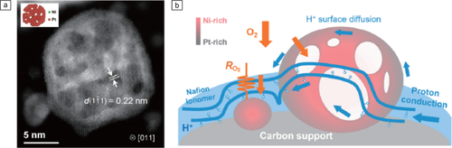 Fuel cells: Materials needs and advances