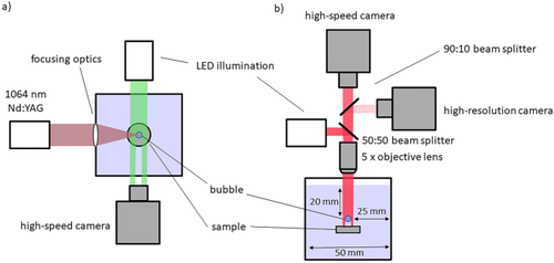 Single-Bubble Cavitation-Induced Pitting on Technical Alloys