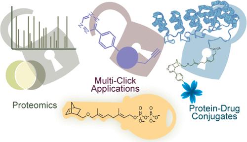 Broadening the Utility of Farnesyltransferase-Catalyzed Protein Labeling Using Norbornene–Tetrazine Click Chemistry
