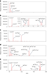 Simultaneous time-resolved inorganic haloamine measurements enable analysis of disinfectant degradation kinetics and by-product formation