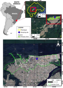 Impact assessment of IMO’s sulfur content limits: a case study at latin America’s largest grain port