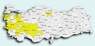 How Does Türkiye’s Cherry Production Respond to Climate Change?: a Panel Cointegration Analysis