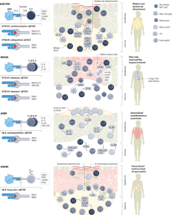 Severe cutaneous adverse reactions