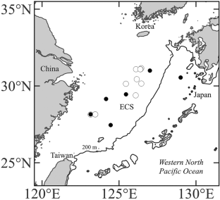 Morphometric and genetic identification of Rhynchoconger ectenurus (Anguilliformes: Congridae) leptocephali with additional information about eel tails