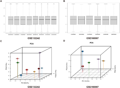 Inhibition of UHRF1 Improves Motor Function in Mice with Spinal Cord Injury