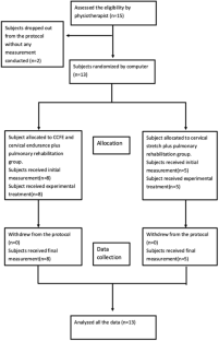 The effect of craniocervical flexion and neck endurance exercises plus pulmonary rehabilitation on pulmonary function in spinal cord injury: a pilot single-blinded randomised controlled trial