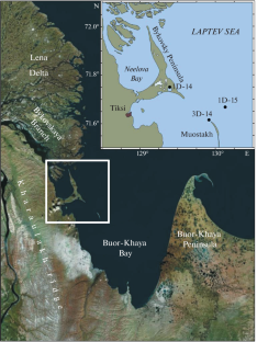 Comparative Analysis of Mineral Assemblages in Bottom Sediments from Buor-Khaya Bay