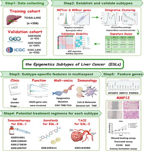 Integrated Exploration of Epigenetic Dysregulation Reveals a Stemness/EMT Subtype and MMP12 Linked to the Progression and Prognosis in Hepatocellular Carcinoma