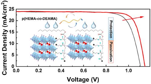 Defect Passivation Enabled by Amphiphilic Polymer Additives for Perovskite Solar Cells with Suppressed Charge Recombination