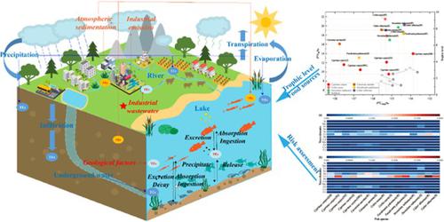 Distribution, bioaccumulation, trophic transfer and risk assessment of trace elements in fish from a typical shallow outflow lake basin, China