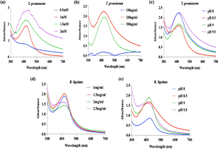 Anticandidal Efficacy of Green Synthesized Silver Nanoparticles Using Trans-Himalayan Plant Extracts Against Drug Resistant Clinical Isolates of Candida auris