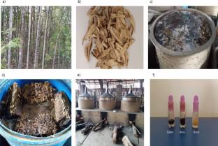 Enzyme Activity of Culturable Fungi and Bacteria Isolated from Traditional Agarwood Fermentation Basin Indicate Temporally Significant Lignocellulosic and Lipid Substrate Modulations