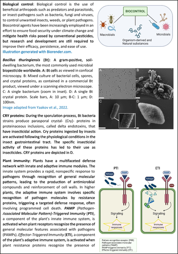 Bacillus thuringiensis promotes systemic immunity in tomato, controlling pests and pathogens and promoting yield