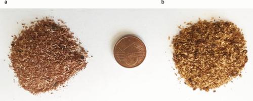 Rapid identification of Ips sexdentatus (Boerner, 1766) (Curculionidae) from adults and frass with real-time PCR based on probe technology