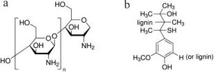 Formulation and characterization of lignin modified chitosan beads