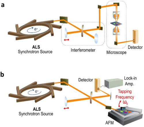 In situ X-ray and IR probes relevant to Earth science at the Advanced Light Source at Lawrence Berkeley Laboratory