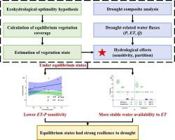 Revisiting the hydrological legacy of revegetation on China's Loess Plateau using Eagleson's ecohydrological perspective