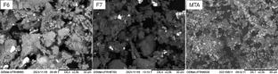 Portland cement associated with niobium is evidenced by the presence of calcium crystals and biocompatibility in the rat subcutaneous tissue