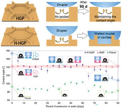 Long-Term Immersion Study for Durability of Interconnected Micropatterned Surfaces with Sustained Water Repellency