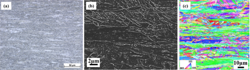 Investigation of the effects of beam oscillations in electron beam–welded S1100M TMCP steel