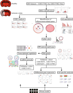 Integrating Bulk RNA and Single-Cell Sequencing Data Unveils Efferocytosis Patterns and ceRNA Network in Ischemic Stroke