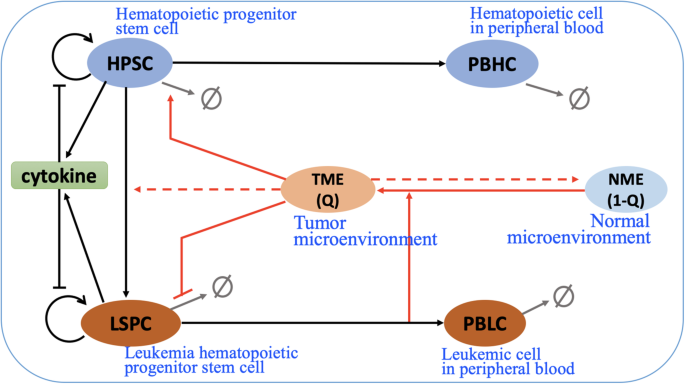 Computational modeling reveals key factors driving treatment-free remission in chronic myeloid leukemia patients