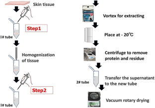 Development of metabolome extraction strategy for metabolite profiling of skin tissue