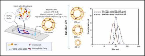 High throughput microfluidics-based synthesis of PEGylated liposomes for precise size control and efficient drug encapsulation