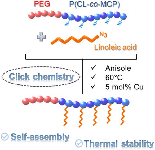 Synthesis of PEGylated amphiphilic block copolymers with pendant linoleic moieties by combining ring-opening polymerization and click chemistry