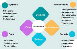 Antibiotics: From Mechanism of Action to Resistance and Beyond