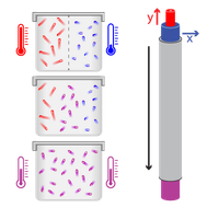 Calorimetry of Photon Gases in Nonlinear Multimode Optical Fibers