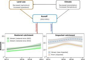 Stream macroinvertebrate communities in restored and impacted catchments respond differently to climate, land-use, and runoff over a decade.