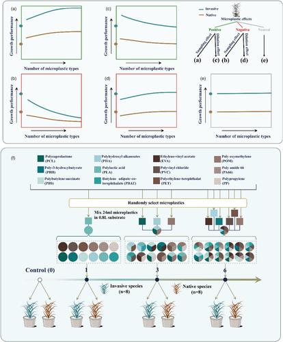 The more microplastic types pollute the soil, the stronger the growth suppression of invasive alien and native plants