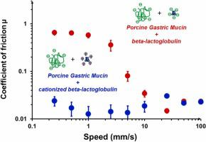 Structural and tribological studies on the interaction of porcine gastric mucin with non- and cationic-modified β-lactoglobulins