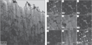 Transparent Lithium-Aluminum-Silicate Glass-Ceramics (Overview)