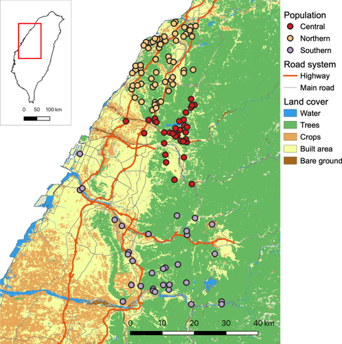 Unraveling the interplay between demography and landscape features in shaping connectivity and diversity: Insights from the leopard cat on a subtropical island