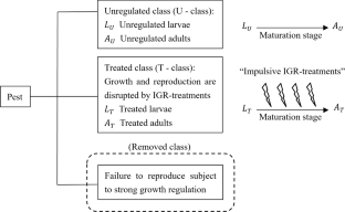 Modeling insect growth regulators for pest management