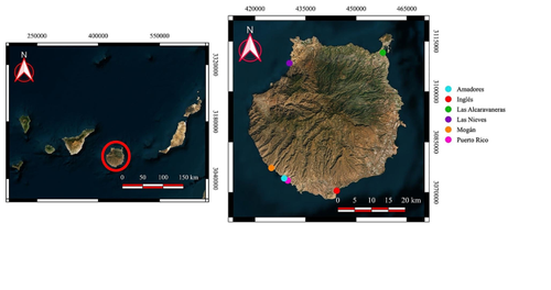 Epifaunal Communities in Floating Buoys on Gran Canaria (Canary Islands, NE Atlantic Ocean)