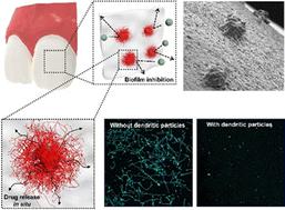 Drug-loaded adhesive microparticles for biofilm prevention on oral surfaces†