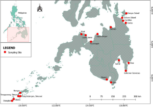 Seagrass cover and associated macrobenthic marine invertebrates in Southern Philippines