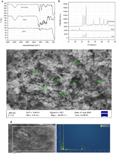 Rutin-coated zinc oxide nanoparticles: a promising antivirulence formulation against pathogenic bacteria