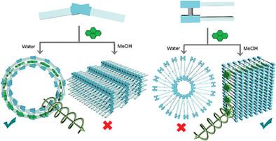 Diastereoselective Supramolecular Encapsulation and Chirality Transfer Between Cholesteryl Binaphthyl Conjugates and Polyaromatic Hydrocarbon