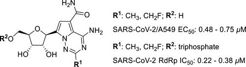 Discovery of C-Linked Nucleoside Analogues with Antiviral Activity against SARS-CoV-2