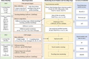 Maize tassel number and tasseling stage monitoring based on near-ground and UAV RGB images by improved YoloV8