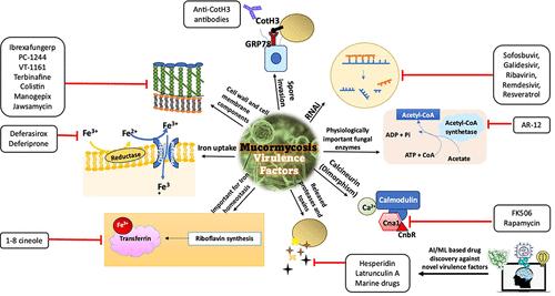 Comprehensive Review on the Virulence Factors and Therapeutic Strategies with the Aid of Artificial Intelligence against Mucormycosis