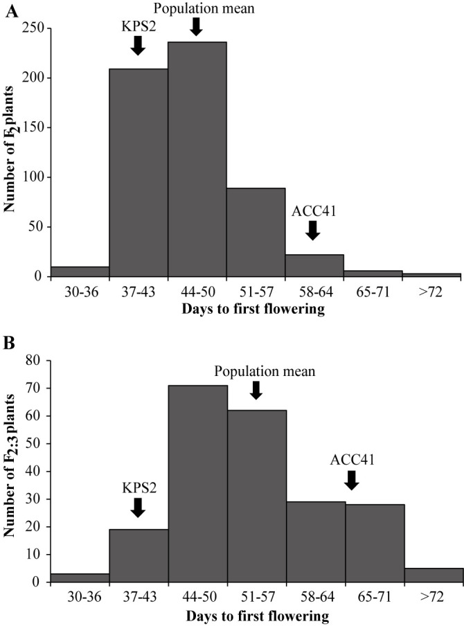 Narrowing down a major QTL region reveals <i>Phytochrome E</i> (<i>PHYE</i>) as the candidate gene controlling flowering time in mungbean (<i>Vigna radiata</i>).