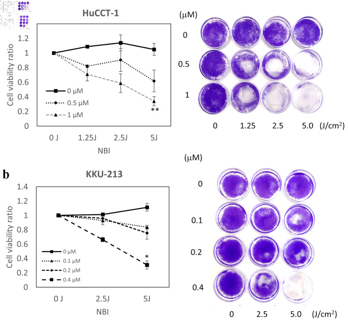 The Potential of Narrow-Band Imaging as a Novel Light Source for Photodynamic Therapy for Superficial Cancers via Endoscopes.