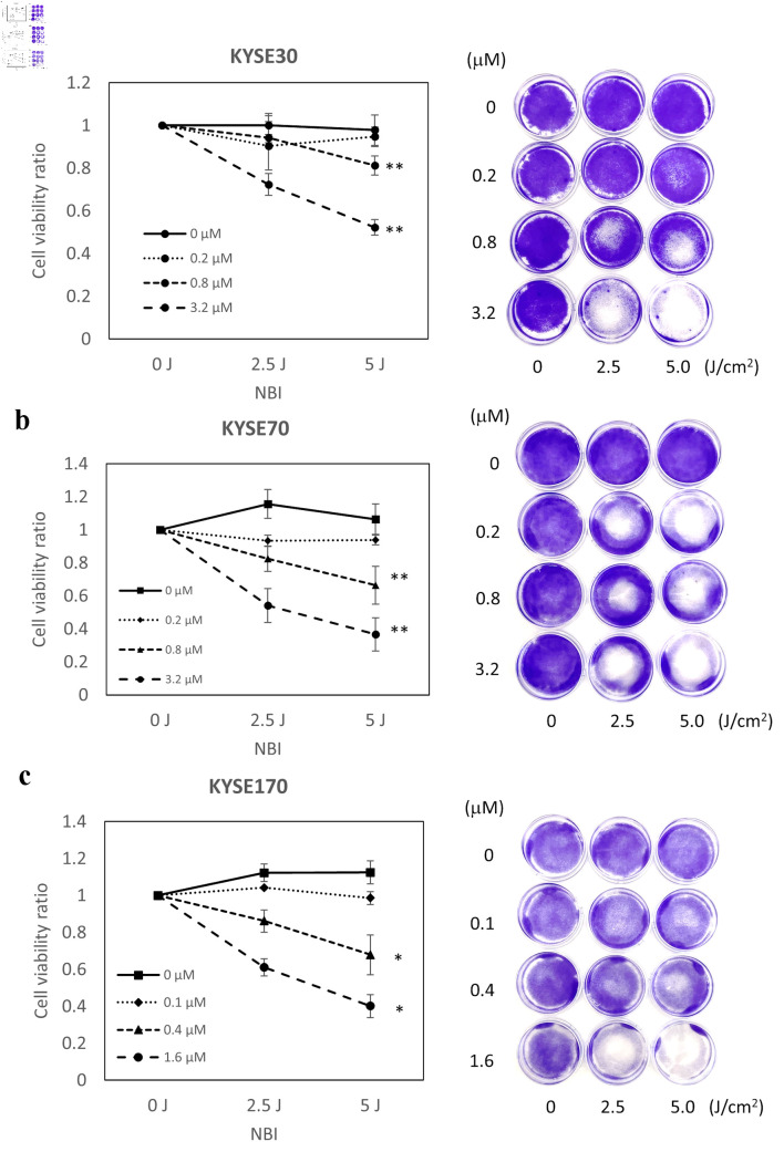The Potential of Narrow-Band Imaging as a Novel Light Source for Photodynamic Therapy for Superficial Cancers via Endoscopes.