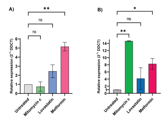 Increased Expression Level of Human Blood Clotting Factor VIII Using NS0 Cell Line as a Host Cells.